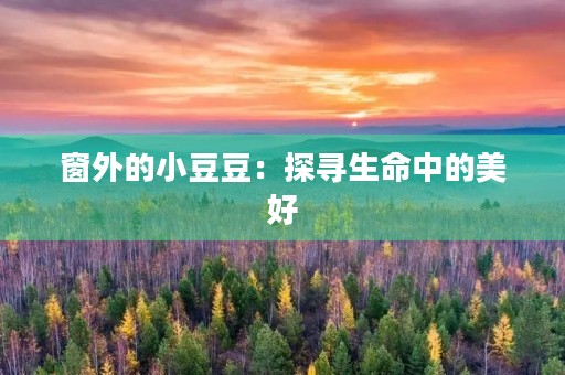 窗外的小豆豆：探寻生命中的美好
