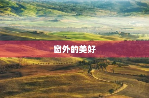 窗外的美好 窗外的美好