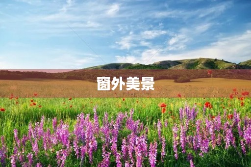窗外美景