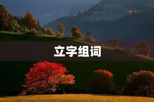 立字组词(立组词) 立字组词(立组词)