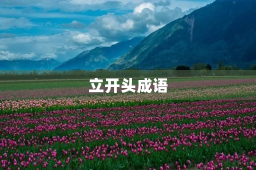 立开头成语