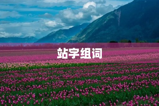 站字组词(站的组词) 站字组词(站的组词)
