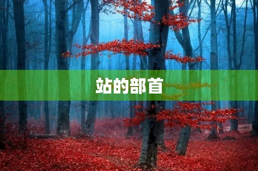 站的部首(站的部首) 站的部首(站的部首)