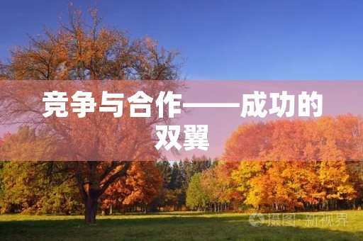 竞争与合作——成功的双翼