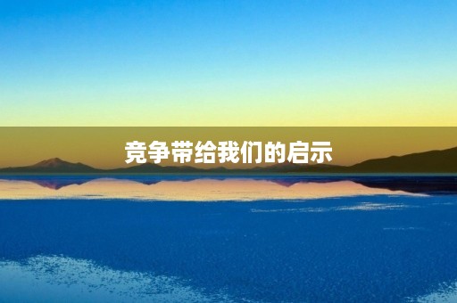 竞争带给我们的启示