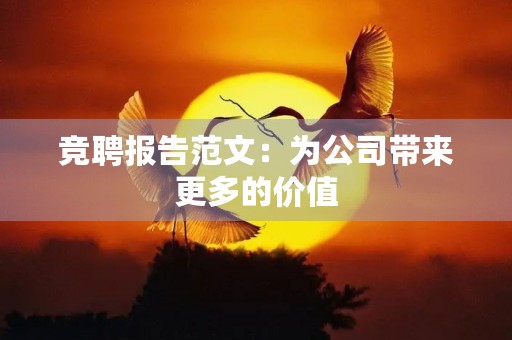 竞聘报告范文：为公司带来更多的价值