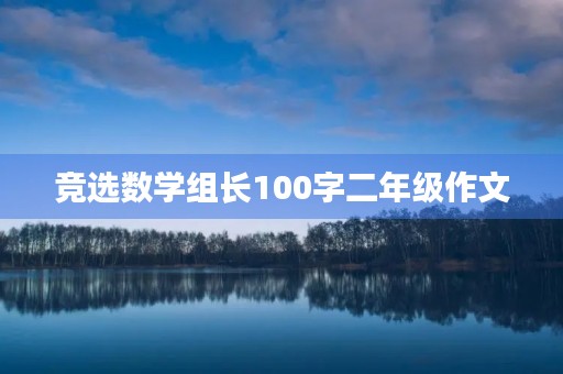竞选数学组长100字二年级作文