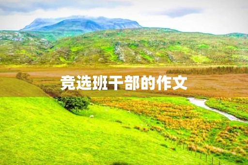 竞选班干部的作文 竞选班干部的作文