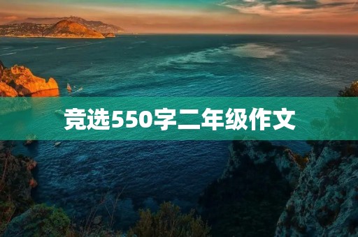 竞选550字二年级作文