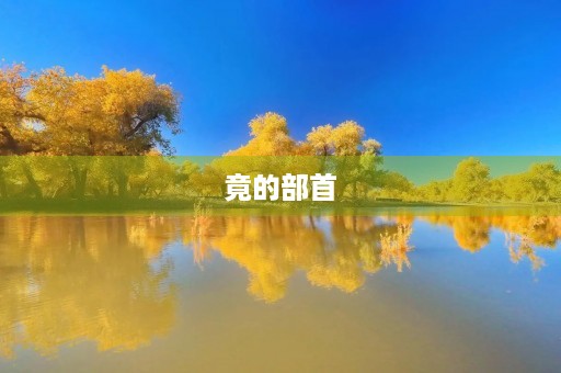 竟的部首(竟的部首) 竟的部首(竟的部首)