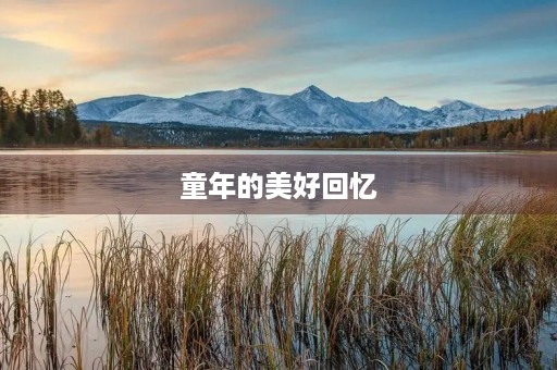 童年的美好回忆 童年的美好回忆