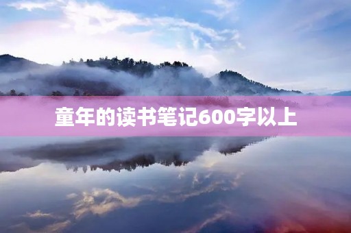 童年的读书笔记600字以上 童年的读书笔记600字以上