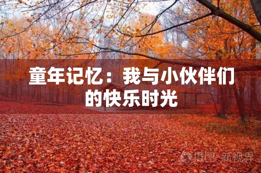 童年记忆：我与小伙伴们的快乐时光