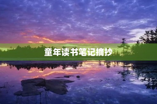童年读书笔记摘抄 童年读书笔记摘抄