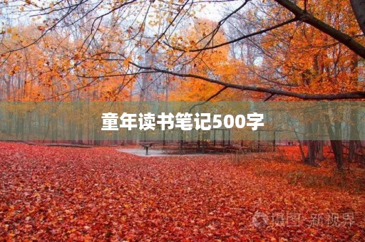 童年读书笔记500字 童年读书笔记500字