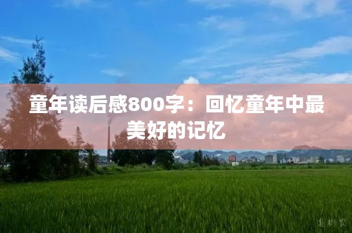 童年读后感800字：回忆童年中最美好的记忆