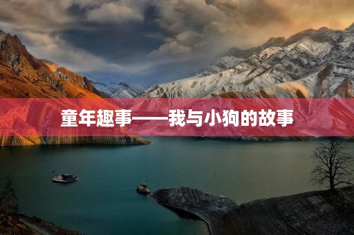 童年趣事——我与小狗的故事