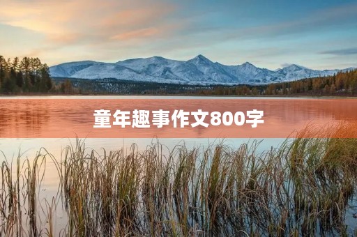 童年趣事作文800字