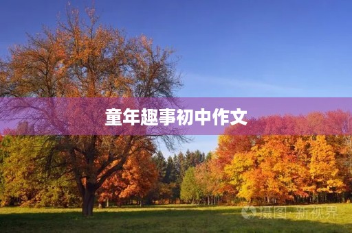 童年趣事初中作文