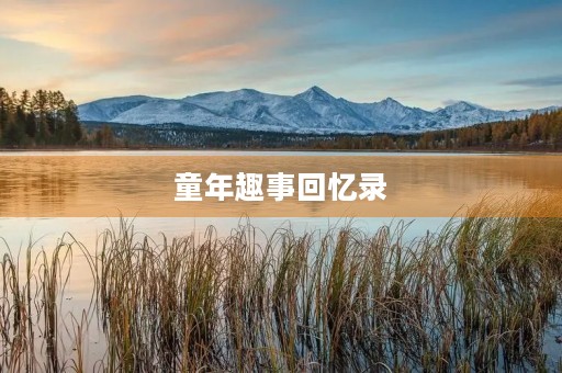 童年趣事回忆录