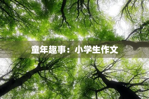 童年趣事：小学生作文