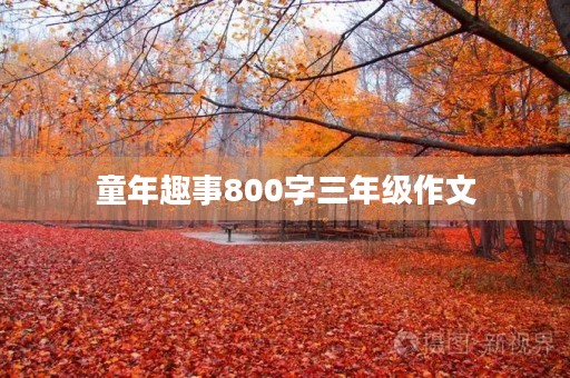 童年趣事800字三年级作文 童年趣事800字三年级作文