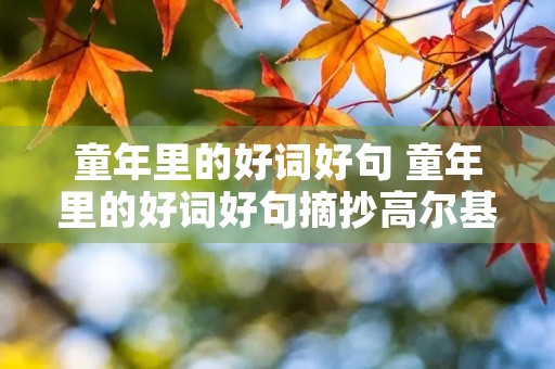 童年里的好词好句 童年里的好词好句摘抄高尔基 童年里的好词好句 童年里的好词好句摘抄高尔基
