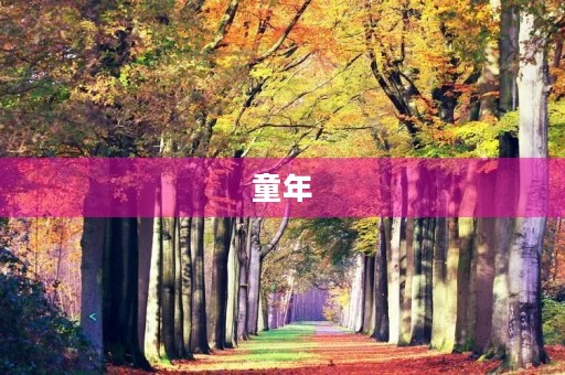 童年,过的真快…100字三年级作文 童年,过的真快…100字三年级作文