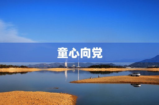 童心向党，歌飞扬——观后感