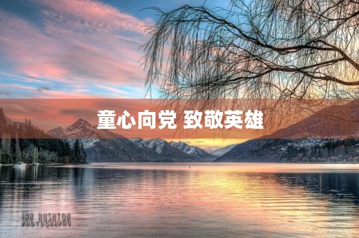 童心向党 致敬英雄 童心向党 致敬英雄