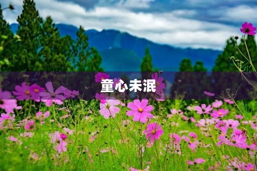 童心未泯，童乐常存——6.1儿童节祝福语简短