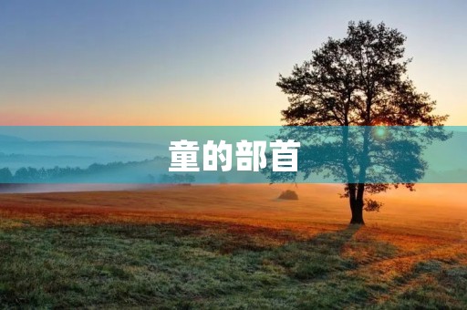 童的部首(童的部首) 童的部首(童的部首)