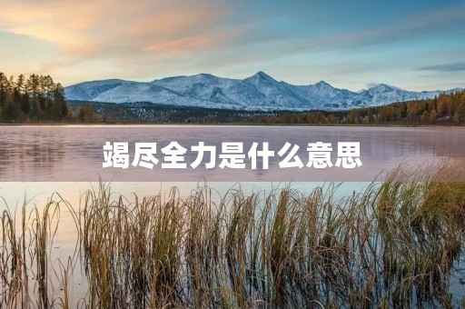 竭尽全力是什么意思 竭尽全力是什么意思