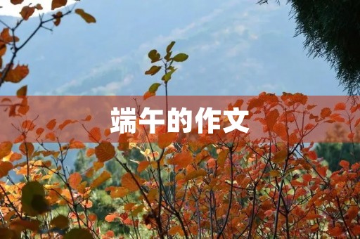端午的作文
