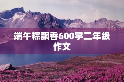 端午粽飘香600字二年级作文