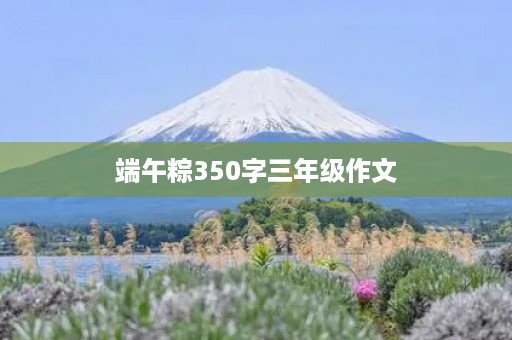 端午粽350字三年级作文