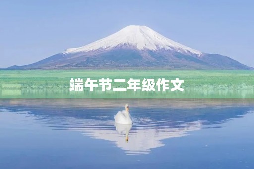 端午节二年级作文 端午节二年级作文