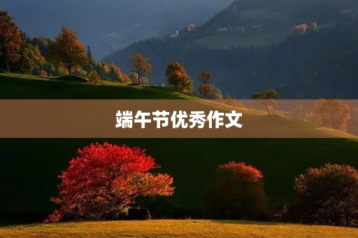 端午节优秀作文