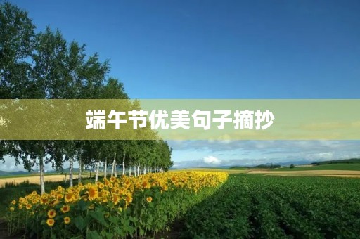 端午节优美句子摘抄(端午节优美句子摘抄50字)