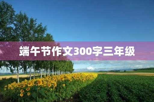 端午节作文300字三年级