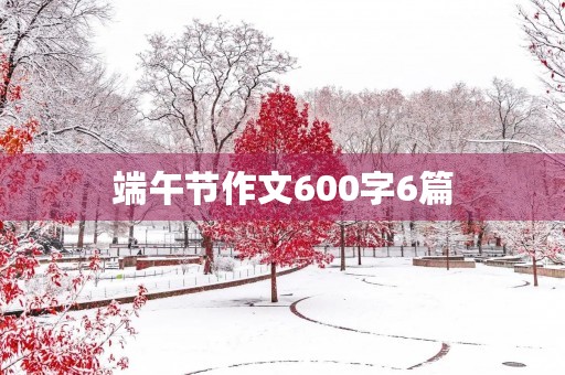 端午节作文600字6篇 端午节作文600字6篇