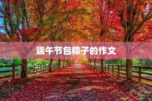 端午节包粽子的作文 端午节包粽子的作文