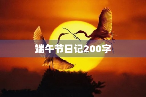 端午节日记200字
