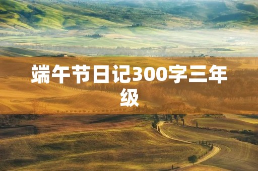 端午节日记300字三年级