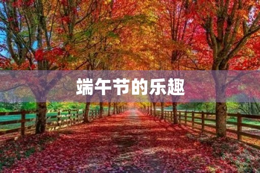 端午节的乐趣 端午节的乐趣