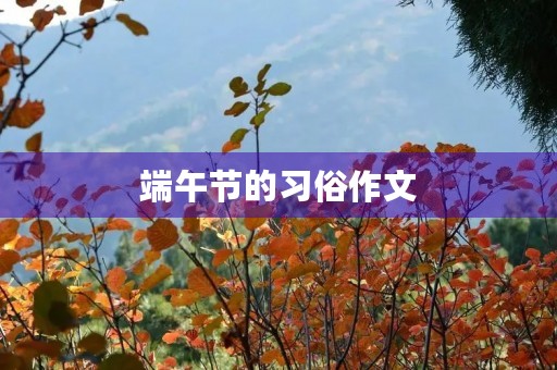 端午节的习俗作文
