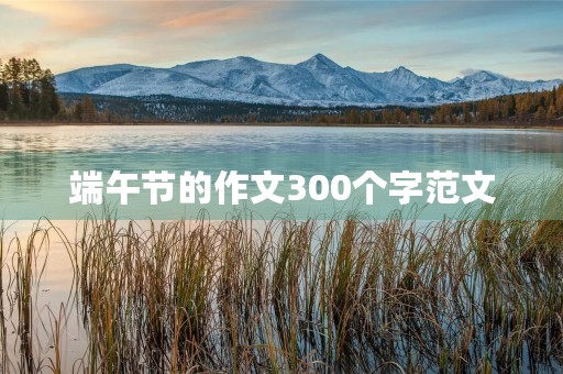 端午节的作文300个字范文
