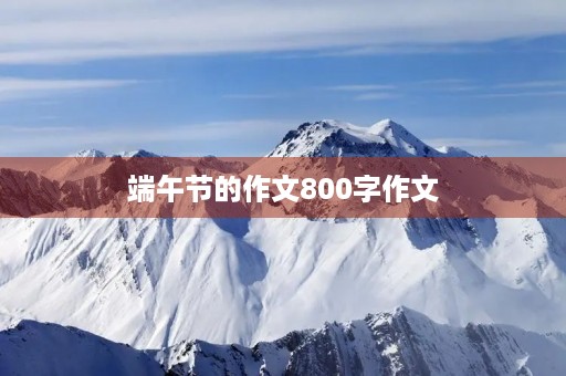 端午节的作文800字作文 端午节的作文800字作文