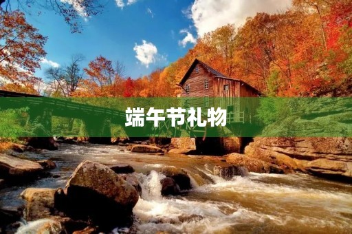端午节礼物 端午节礼物