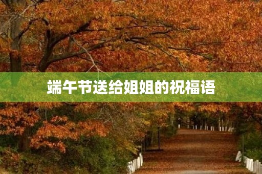 端午节送给姐姐的祝福语,端午节表情包